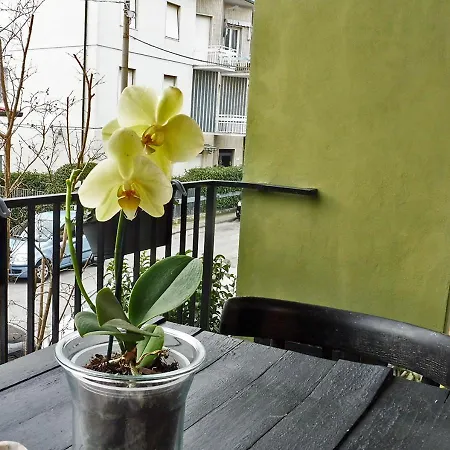Casa La Rosa - Mare E Pineta - 2 Bici Incluse Prázdninový dům
